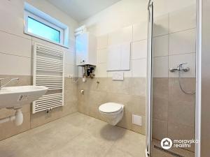 Prodej bytu 2+1, Vémyslice, 55 m2