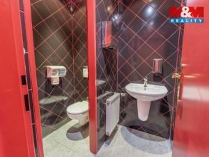 Pronájem obchodního prostoru, Praha - Troja, Olštýnská, 300 m2