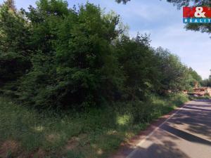 Prodej pozemku pro bydlení, Červená Voda - Moravský Karlov, 273 m2