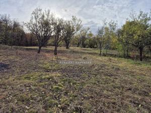 Prodej zahrady, Židlochovice, 1185 m2