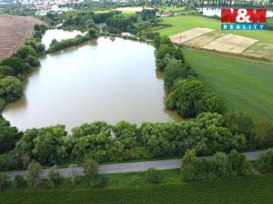 Prodej rybníku, Český Brod - Liblice, 6053 m2