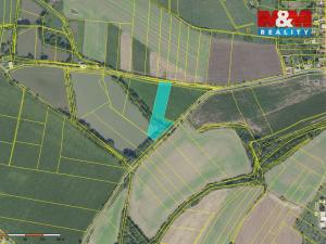 Prodej rybníku, Český Brod - Liblice, 6053 m2