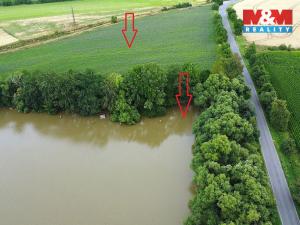 Prodej rybníku, Český Brod - Liblice, 6053 m2