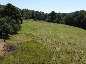 Prodej pole, Strašín, 33901 m2