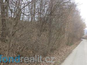 Prodej pole, Zvěstov, 51947 m2