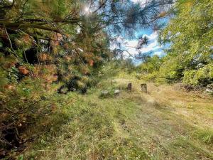 Prodej chaty, Hroznětín, 26 m2