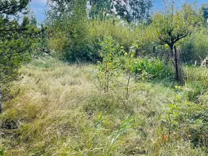 Prodej chaty, Hroznětín, 26 m2