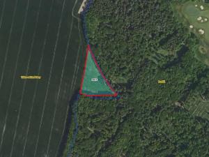 Prodej louky, Vidice, 7450 m2