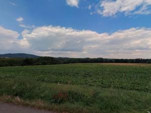 Prodej pole, Mšeno, 9988 m2