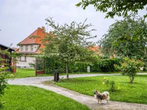 Prodej ubytování, Český Krumlov, Horská, 469 m2