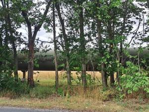 Prodej komerčního pozemku, Měšice, 2035 m2