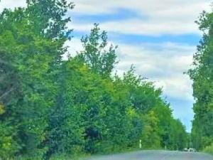 Prodej komerčního pozemku, Měšice, 2035 m2