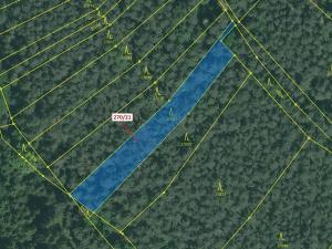 Dražba lesa, Milavče, 1537 m2