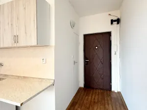 Pronájem bytu 1+1, Chomutov, Kundratická, 33 m2