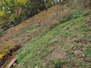 Prodej zahrady, Brno, Zlatníky, 592 m2