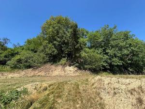 Prodej pozemku pro bydlení, Nelahozeves, Pod strání, 1958 m2