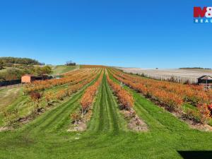 Prodej pole, Fulnek, 70922 m2