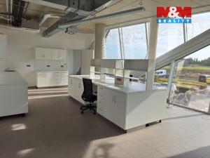 Pronájem komerční nemovitosti, Zlatníky-Hodkovice - Hodkovice, Inovační, 70 m2