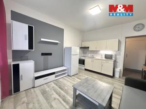 Pronájem bytu 1+kk, Jindřichův Hradec - Jindřichův Hradec II, sídliště U Nádraží, 20 m2