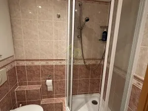 Prodej bytu 4+1, Plzeň, Břeclavská, 90 m2