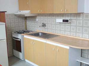 Pronájem bytu 2+1, Teplice, Josefa Suka, 65 m2