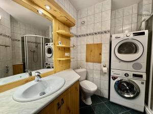 Pronájem bytu 3+1, Brno, Labská, 68 m2