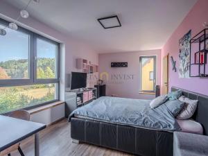 Prodej rodinného domu, Plzeň, 234 m2