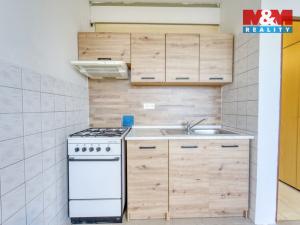 Pronájem bytu 1+1, Horní Bříza, Komenského, 39 m2