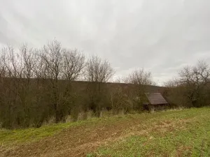 Dražba lesa, Šarovy, 11619 m2