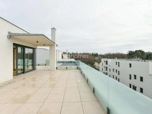 Pronájem rodinného domu, Praha - Řepy, 334 m2