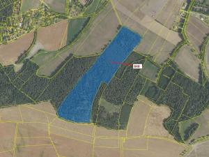 Dražba lesa, Nové Dvory, 81658 m2