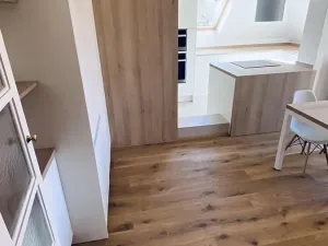 Pronájem bytu 4+kk, Brno, Libušino údolí, 160 m2