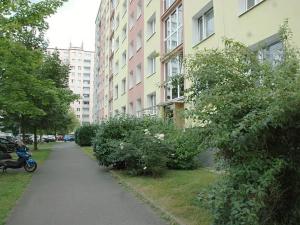 Pronájem bytu 1+1, Plzeň, Žlutická, 39 m2