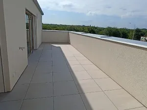 Pronájem bytu 3+kk, Olomouc, Frištenského, 110 m2