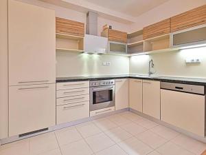 Pronájem bytu 3+kk, Brno, Černého, 61 m2