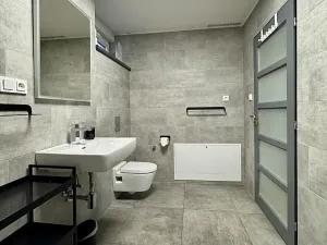 Pronájem bytu 2+kk, Liberec, Vrabčí, 96 m2