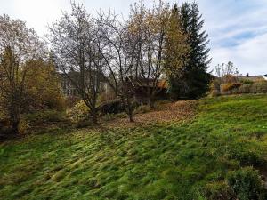 Prodej bytu 2+kk, Bayerisch Eisenstein, Německo, Brennesstraße, 56 m2