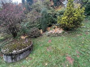 Prodej chaty, Bradlecká Lhota, 62 m2