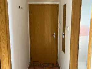 Pronájem bytu 1+1, Ostrava, Korunní, 53 m2