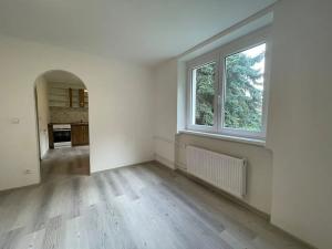 Pronájem bytu 1+1, Litvínov, Horská, 42 m2