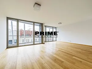 Pronájem bytu 4+kk, Praha - Smíchov, Holečkova, 174 m2