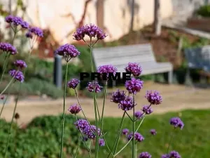 Pronájem bytu 2+kk, Praha - Smíchov, Holečkova, 71 m2