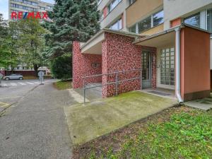 Pronájem bytu 1+kk, Kolín, Dělnická, 20 m2