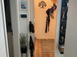 Pronájem bytu 2+1, Brno - Žabovřesky, Plovdivská, 54 m2