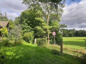 Prodej pozemku pro bydlení, Vysoké Mýto, Vinice, 1447 m2