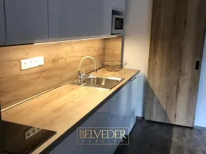 Pronájem bytu 1+kk, Teplice, Rokle, 32 m2