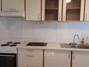 Pronájem bytu 1+kk, Teplice, Rokle, 34 m2