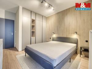 Pronájem bytu 2+kk, Plzeň - Újezd, Rubínová, 56 m2