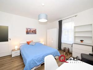 Pronájem bytu 1+kk, Praha - Nové Město, Půtova, 30 m2