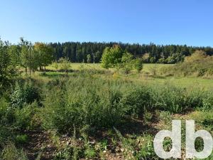 Prodej pozemku pro bydlení, Toužim, 8027 m2